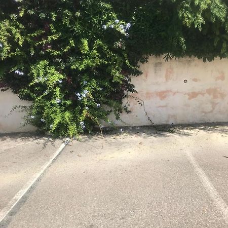 Studio 2 Adultes 2 Enfants Sanary Sur Mer A 800M De La Mer Екстериор снимка